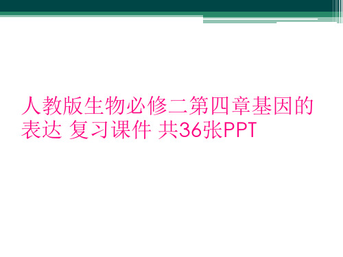 人教版生物必修二第四章基因的表达 复习课件 共36张PPT