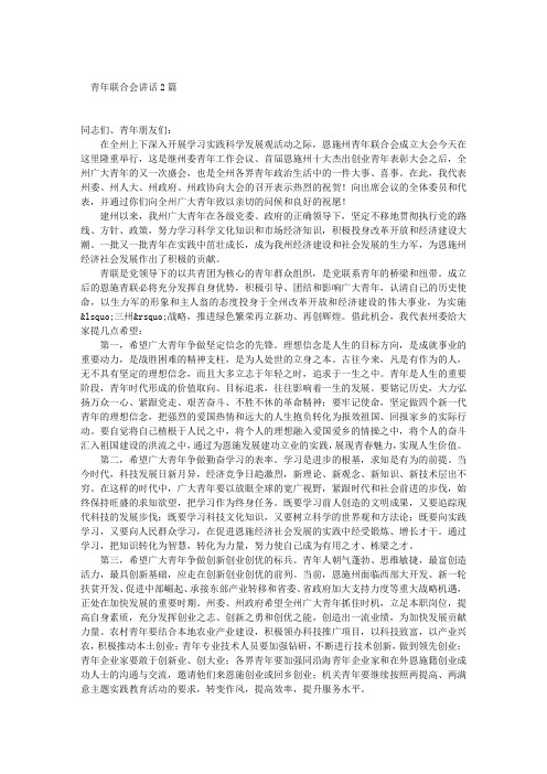 青年联合会讲话2篇
