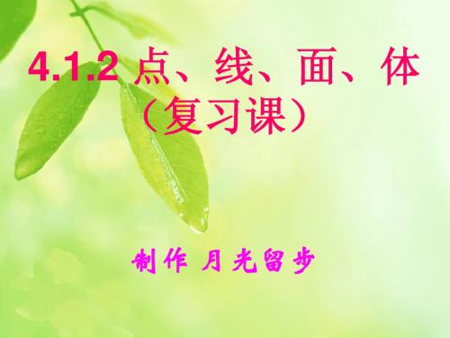复习点线面体