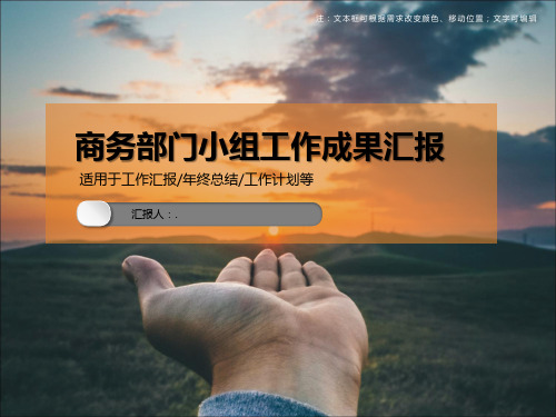 商务部门小组工作成果汇报ppt模板