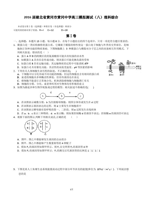 2016届湖北省黄冈市黄冈中学高三模拟测试(八)理科综合