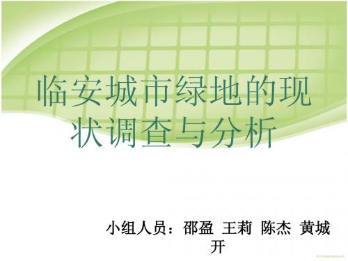 PPT打印稿