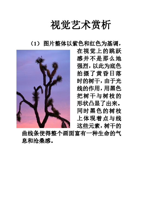 视觉艺术赏析