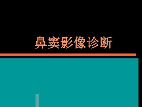 (推荐课件)鼻窦影像诊断PPT学习幻灯片