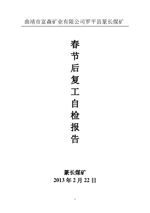 2013复工自检报告