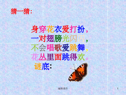 小学美术一年级下册《蝶儿飞飞》课件(1)