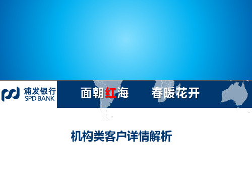 浦发银行机构类客户详情解析汇报PPT案例
