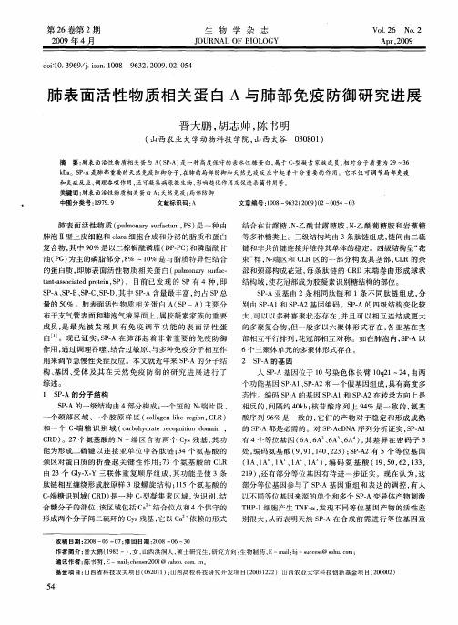 肺表面活性物质相关蛋白A与肺部免疫防御研究进展