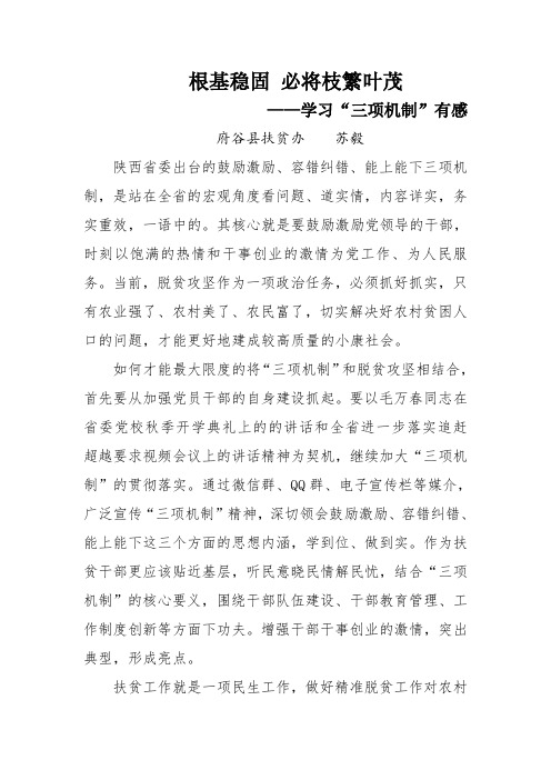 根基稳固 必将枝繁叶茂