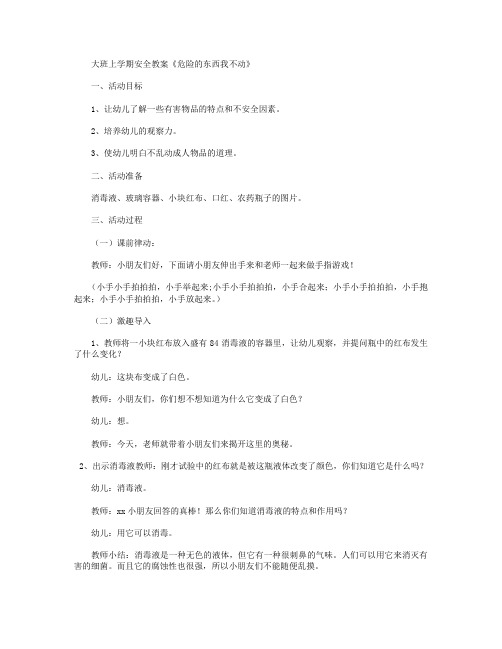 大班安全危险的东西我不动教案