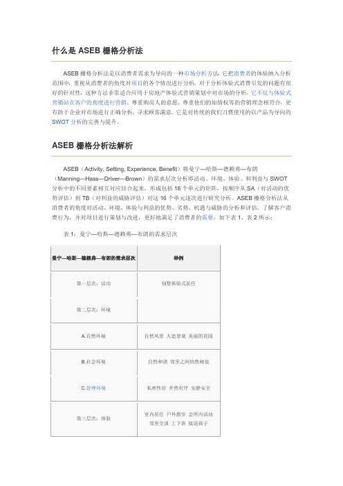ASEB栅格体验分析法