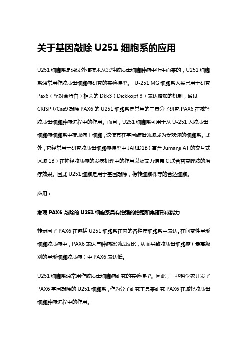 关于基因敲除U251细胞系的应用