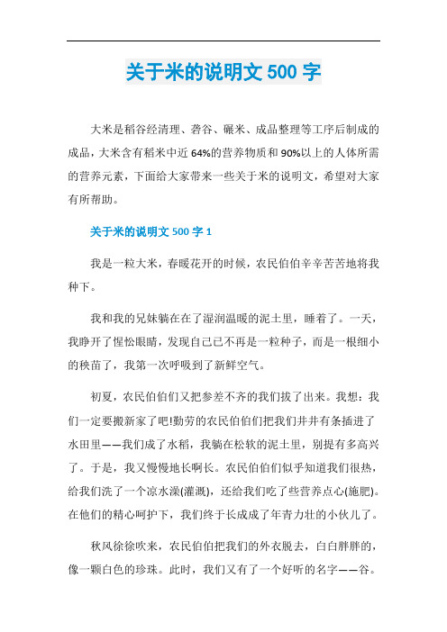 关于米的说明文500字