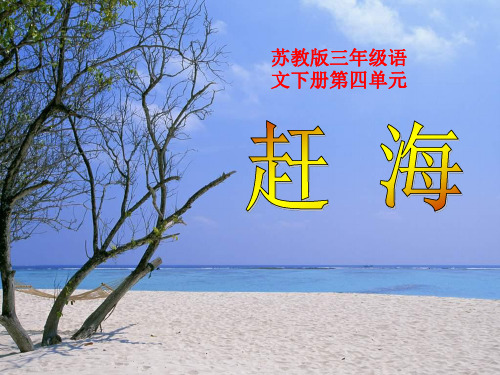 仲编《赶海》ppt课件