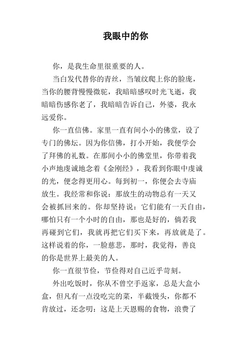 我眼中的你
