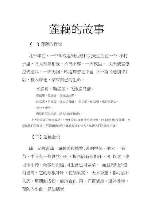 莲藕的故事