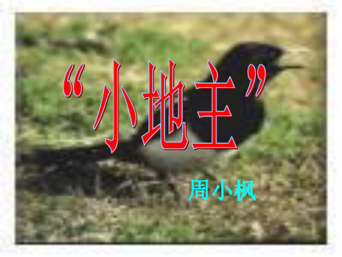 “小地主”PPT课件 北师大版 (共11张PPT)