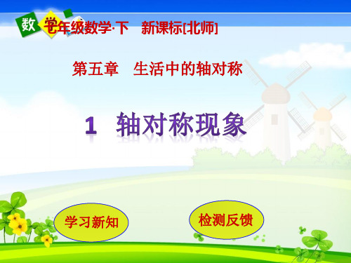 北师版数学七年级下册教学课件 第5章 生活中的轴对称1  轴对称现象