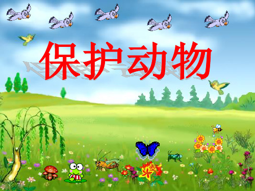 口语交际与习作保护有益的小动物PPT课件