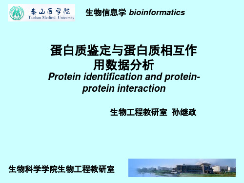 蛋白质组数据分析