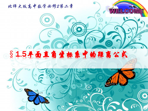 平面直角坐标系中的距离公式(经典)