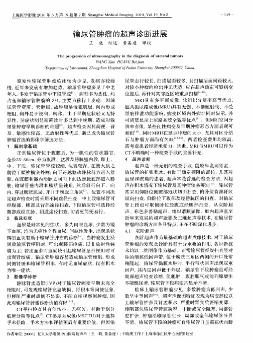 输尿管肿瘤的超声诊断进展