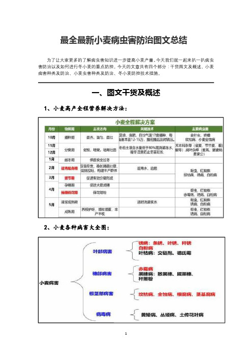 最全最新小麦病虫害防治图文总结