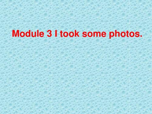 外研版(一起)六下Module 3 Unit 1《I took some photos》ppt课件1