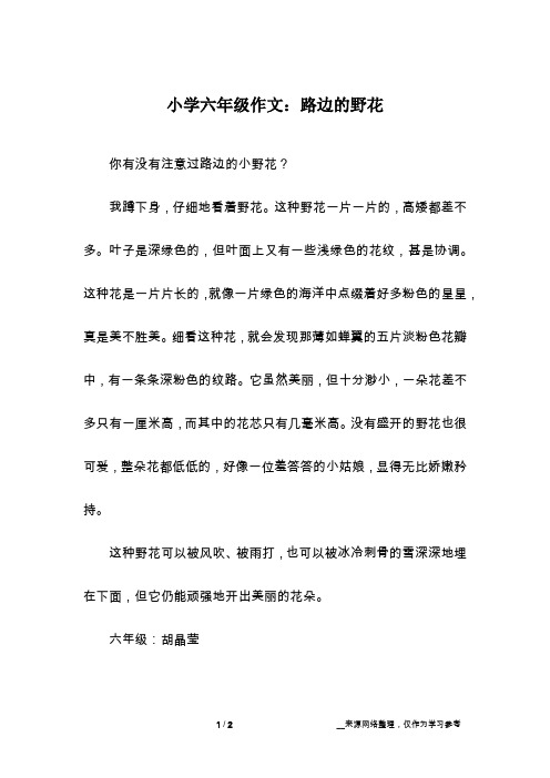 小学六年级作文：路边的野花