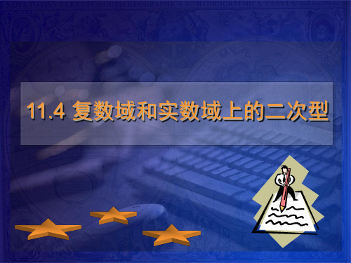 11.4复数域和实数域上的二次型