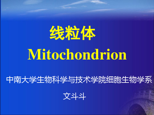 线粒体宣讲专业知识培训