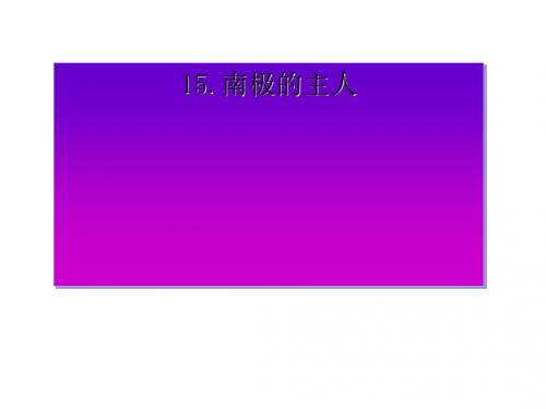 一下《南极的主人》ppt课件全面版