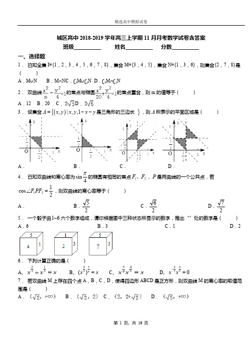 城区高中2018-2019学年高三上学期11月月考数学试卷含答案测试