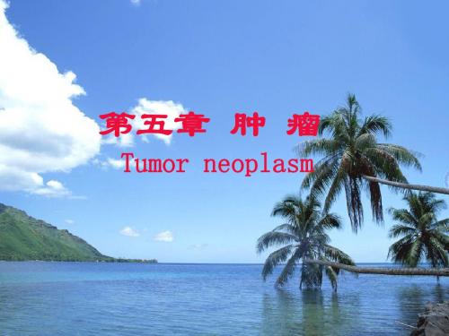 肿瘤的组织结构