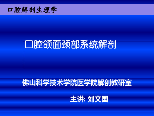 口腔面颈部系统解剖其它颅骨 ppt课件(1)