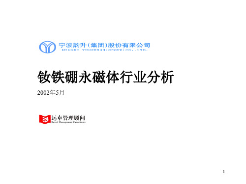 宁波韵升行业分析之钕铁硼3