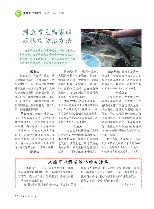 鲟鱼常见病害的症状及防治方法