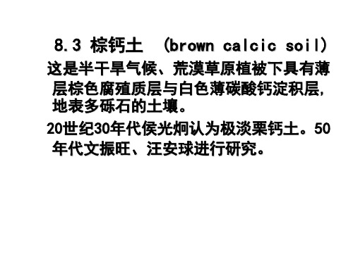 土壤地理学课件第八讲草原与荒漠土壤(2)