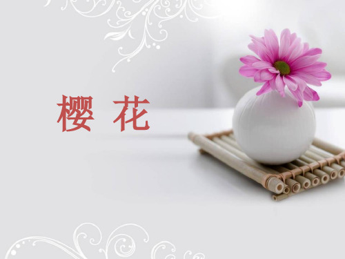 《樱花》三年级音乐课件