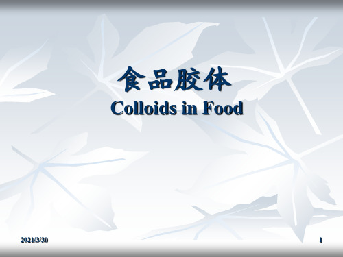 食品胶体第一章 ppt课件
