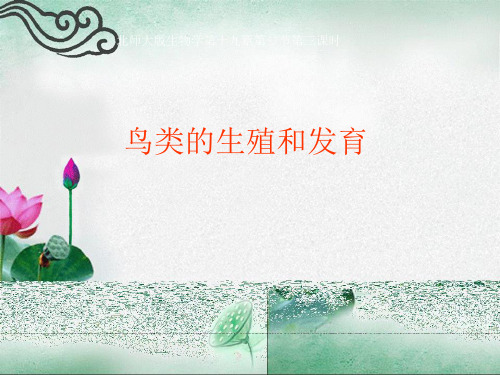 鸟类的生殖和发育课件说课课件 ppt