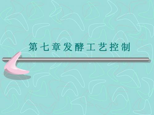 发酵工艺控制