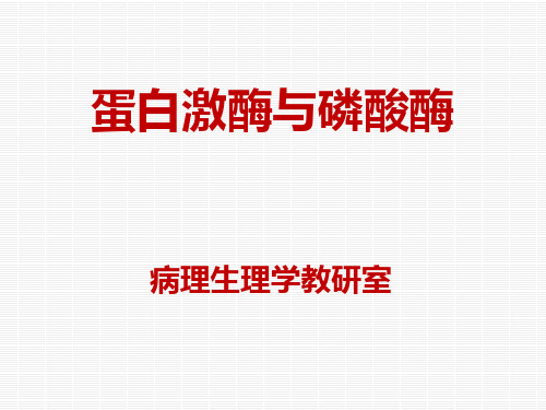 蛋白激酶与磷酸酶