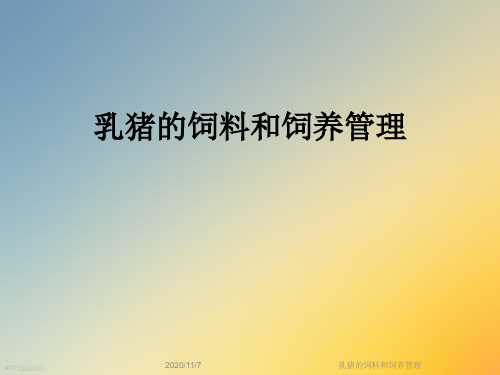 乳猪的饲料和饲养管理