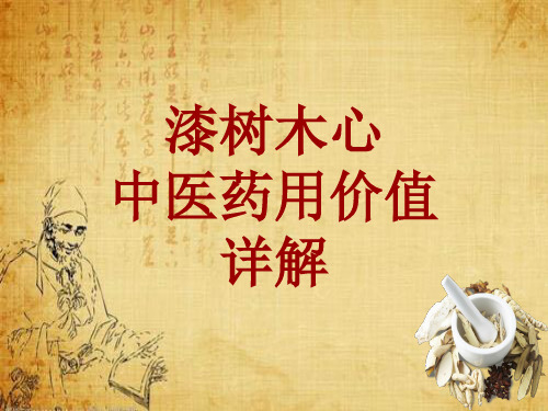 中药学_漆树木心_药材详解课件模板
