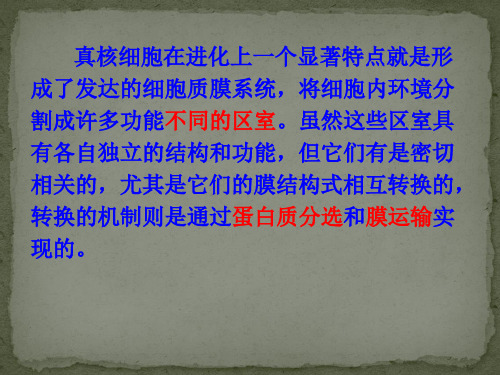 真核细胞内膜系统的结构和功能