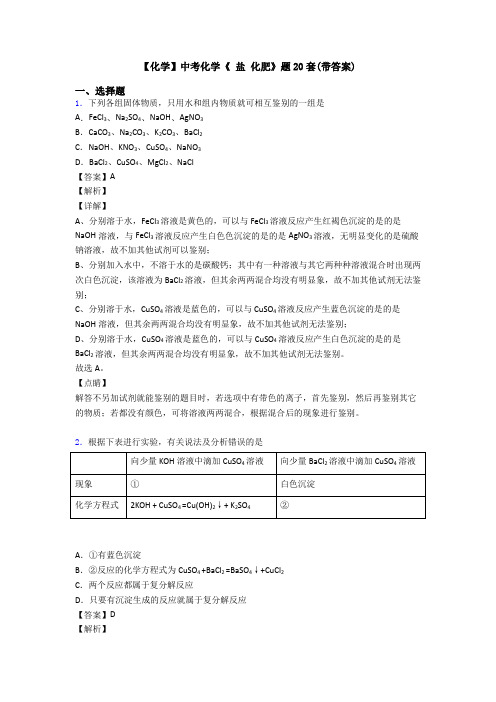 【化学】中考化学《 盐 化肥》题20套(带答案)