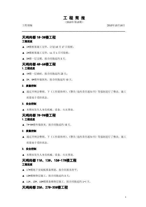 工程简报(2010年第15期)