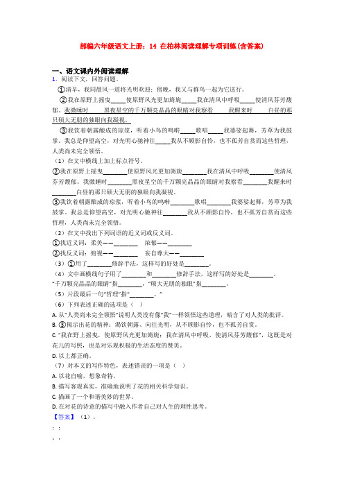 部编六年级语文上册：14 在柏林阅读理解专项训练(含答案)