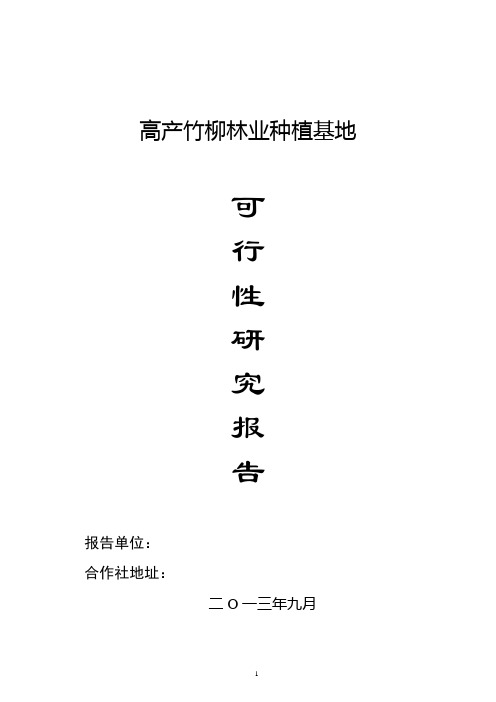 竹柳可行性研究报告.